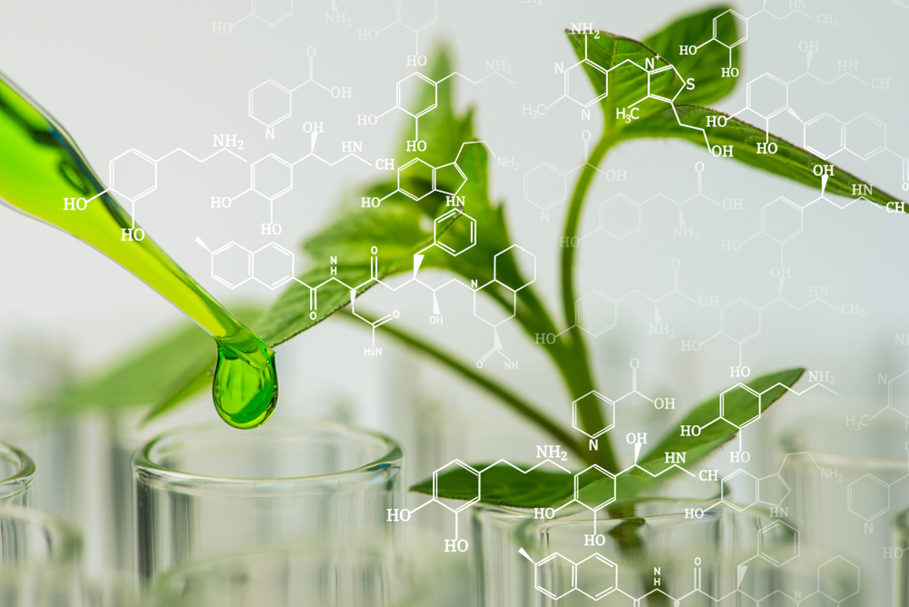 ipowder® or the art of innovation in plant extract.