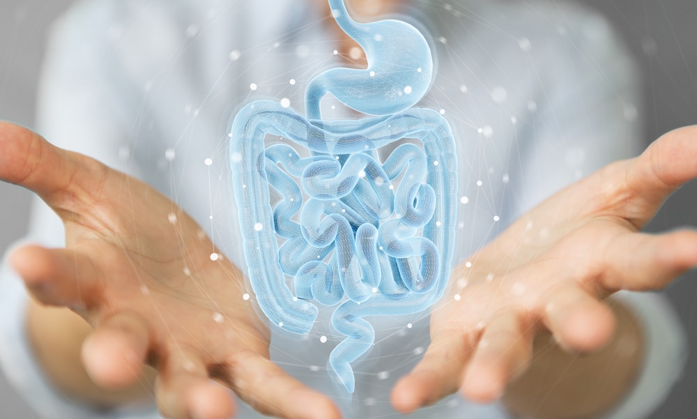 How can you innovate on the digestive health market?